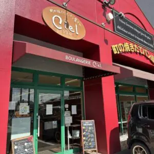 c691495ee01ed8976a65118082bbec