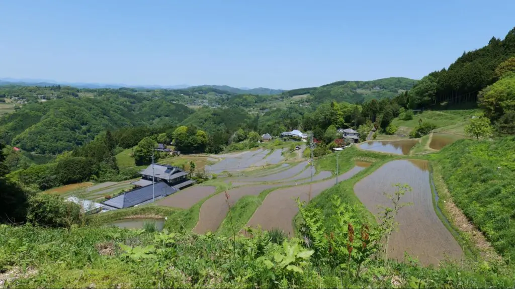 美咲町】山暮らしの中、夫婦で営む小さなパン屋さんココペリにいって