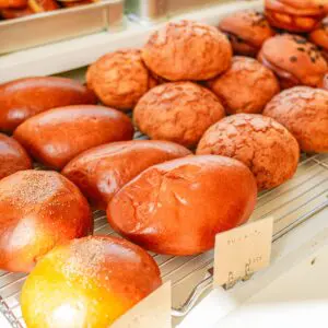 いけパン 笠間市の人気パン屋さん！森の石窯パン屋さんで美味しいパンを楽しもう